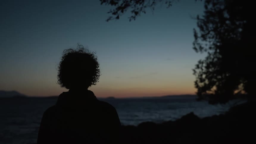A persons silhouette is shown looking over the ocean at dusk