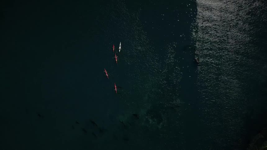 Kayaks float across water lit by bright moonlight