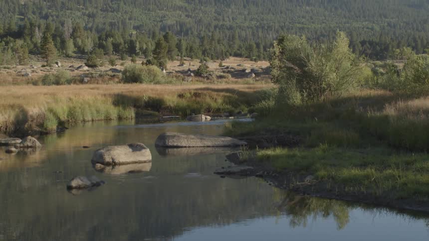 The water leads to a mountain covered in trees