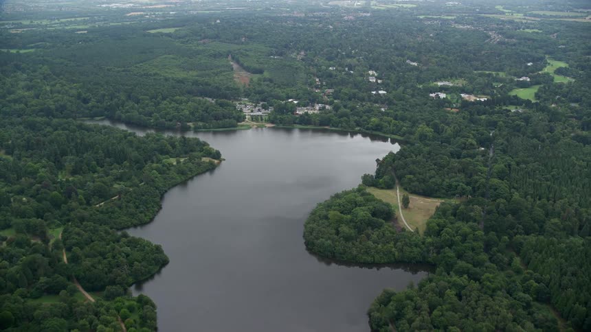 Aerial view of a river surrounded by trees with houses on the shore