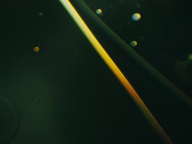 A green and gold circle rotating