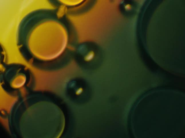 Bubbles of various sizes cling to rotating metallic surface