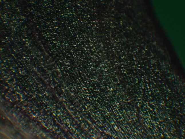 Light flares across textured organic surface