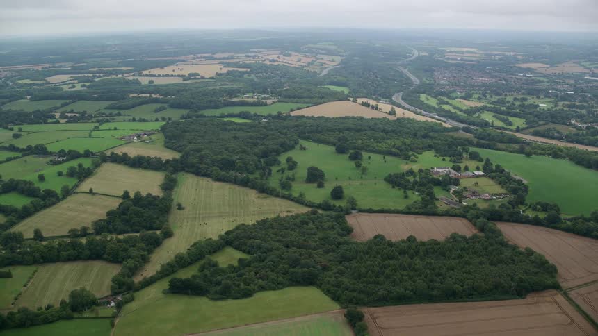 Aerial view of green fields
