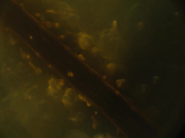 Abstract and microscopic liquid in motion