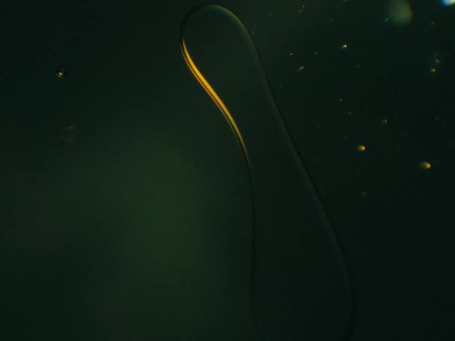 Animation of a green circle with a golden glow