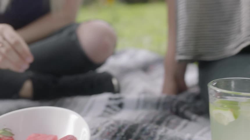 People are sitting on a blanket in the grass drinking and eating