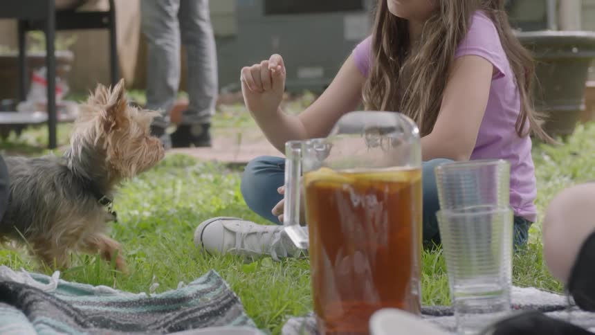 A girl teases a dog with some food on the grass