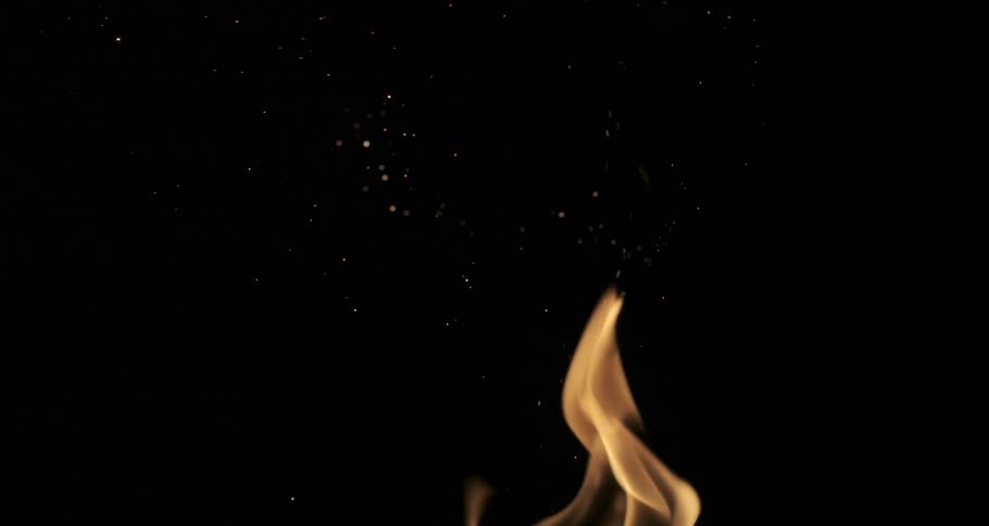 Glowing sparks and embers rise from orange flames as they bend in the darkness