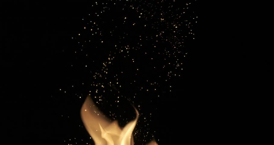 Bonfire flames glowing in the dark night