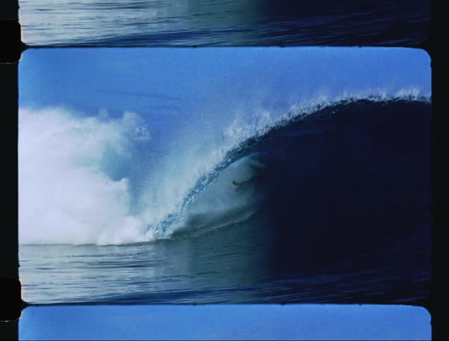 Bird flies over a surfer trying to ride a wave