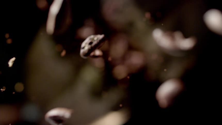 Someone throws a bunch of coffee beans