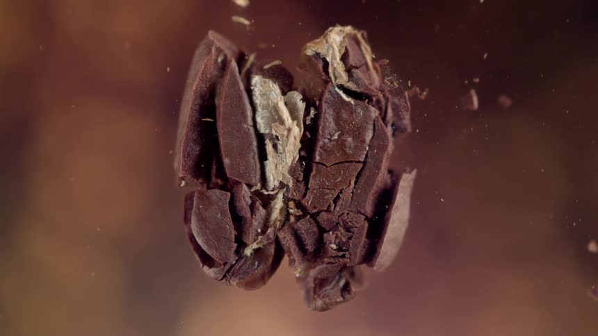 A coffee bean internally combusts and pieces fly everywhere