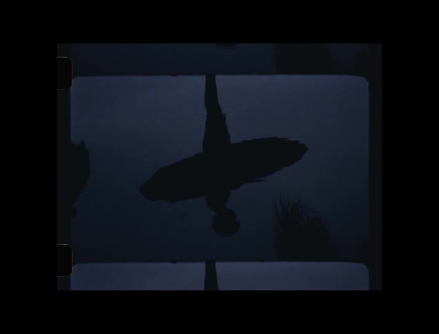 Silhouette of a man hording a surfboard reflected in water