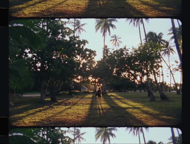Sun sets behind a person carrying a surfboard in the tropics