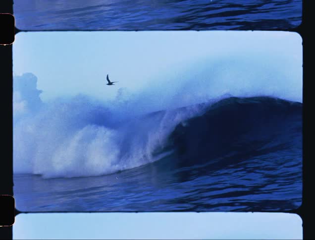 A surfer catching a wave and getting out of it when it breaks