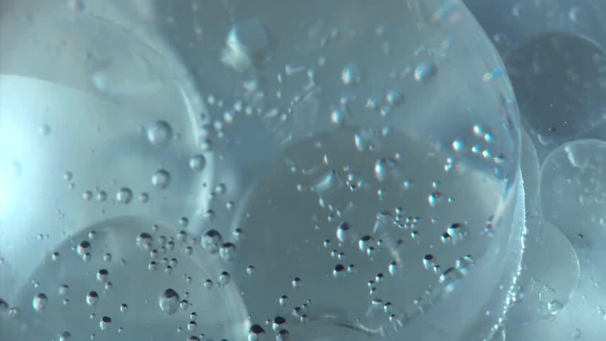 A bubble with several particles inside a fluid
