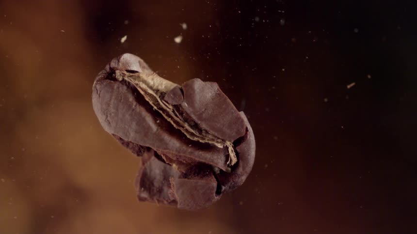 The coffee bean breaks apart