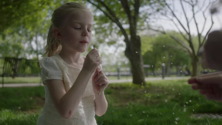 A girl holding a blowing flower blows it everywhere
