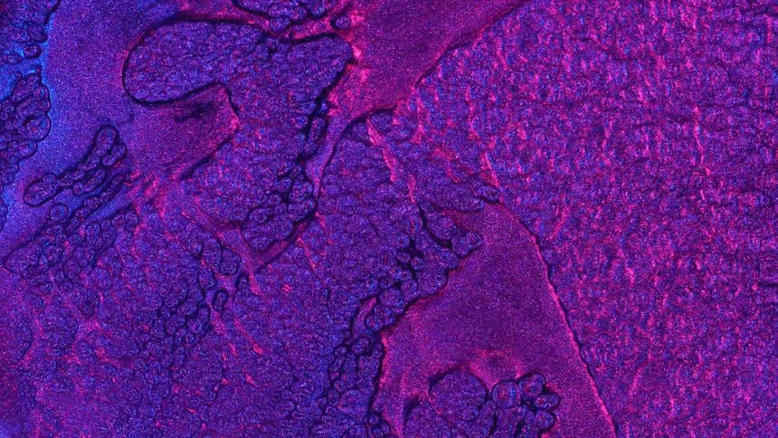 A purple and pink surface with a bubbly neon colored texture