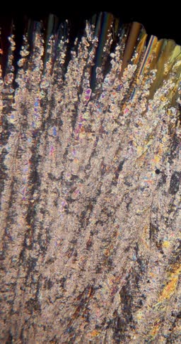 Microscopic view of colorful Erythritol crystals forming