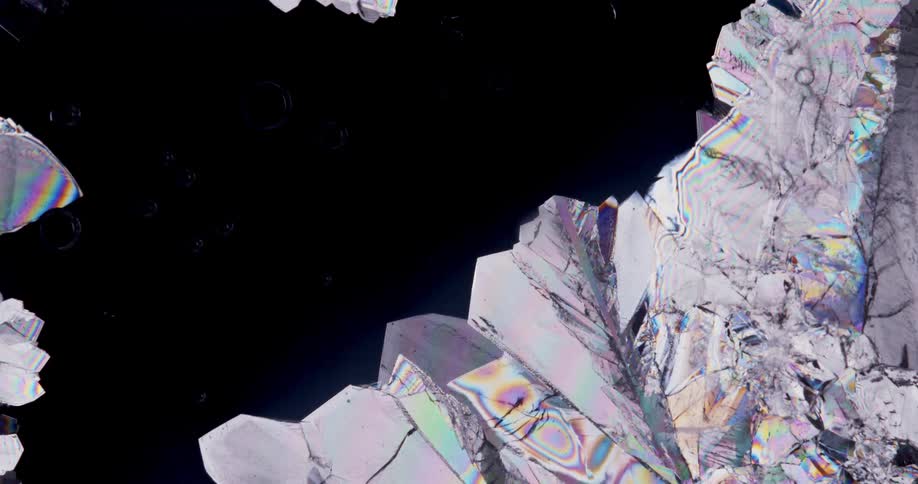 Erythritol microcrystals forming under microscope