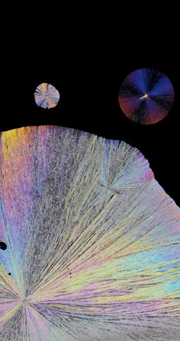 Microscopic view of colorful Erythritol crystals forming