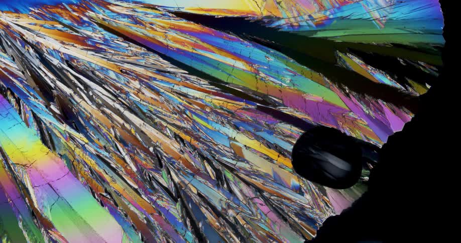Smoothly growing crystals of liquid chemical watched with microscope