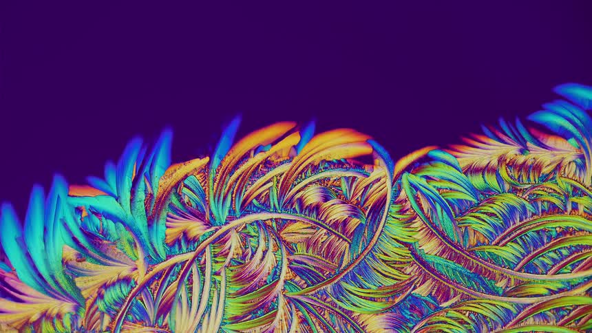 Growing crystals from salicylic acid under microscope