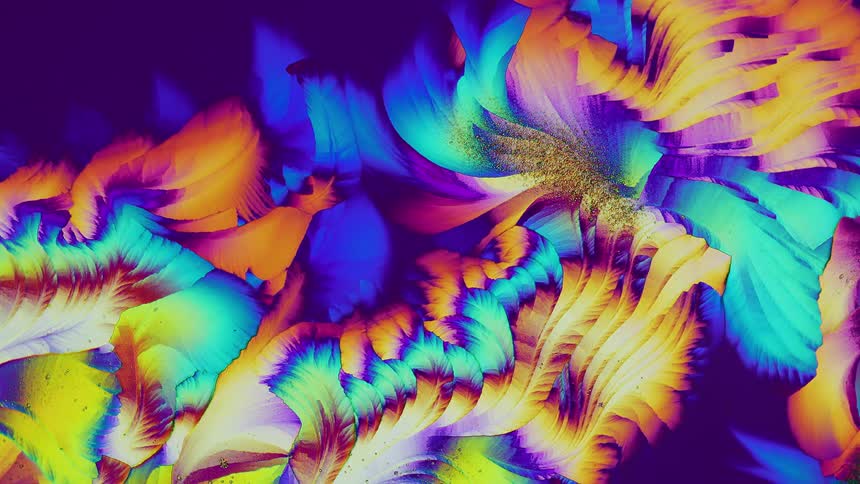 Growing crystals from salicylic acid under microscope