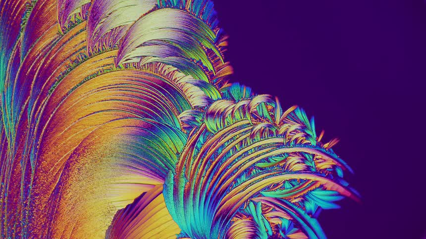 Detailed microscopic natural abstract plant shapes on dark background