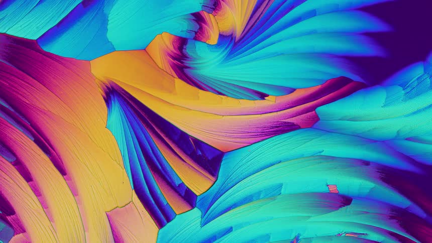 Detailed microscopic natural abstract plant shapes on dark background