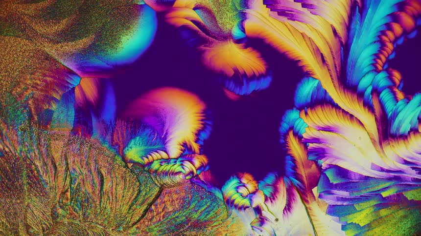 Detailed microscopic natural abstract plant shapes on dark background