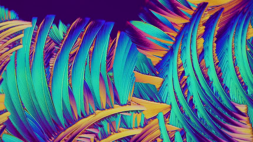 Expanding crystals from salicylic acid in micro view