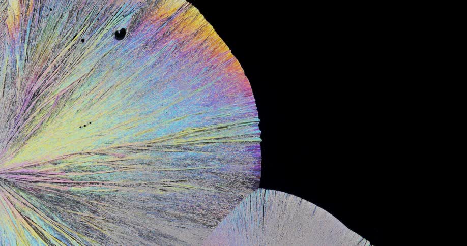 Smoothly growing crystals of liquid chemical watched with microscope