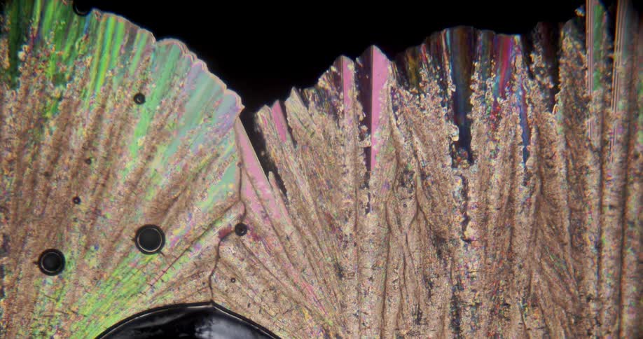 Growing colorful crystals forming under a microscopic small view