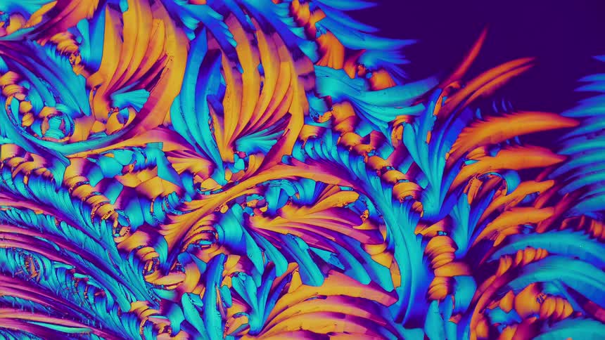 Growing crystals from salicylic acid under microscope