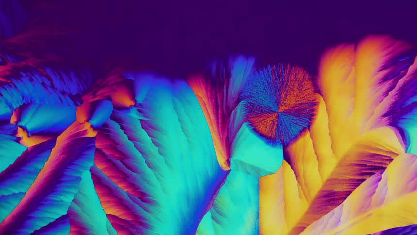Growing crystals from salicylic acid under microscope