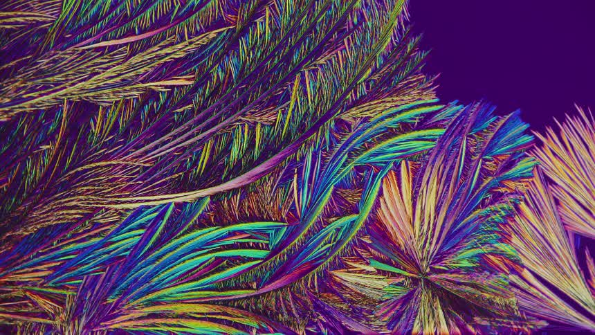 Detailed microscopic natural abstract plant shapes on dark background