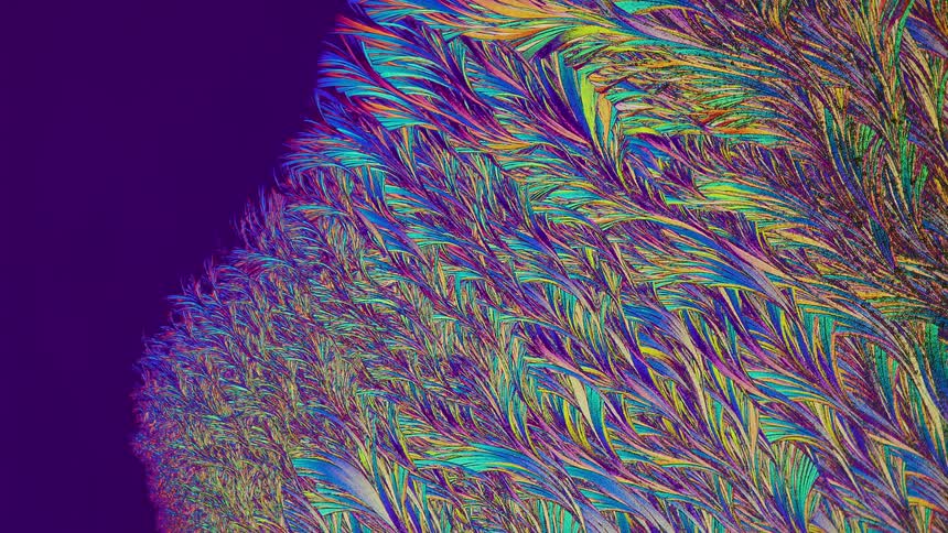 Expanding crystals from salicylic acid in micro view
