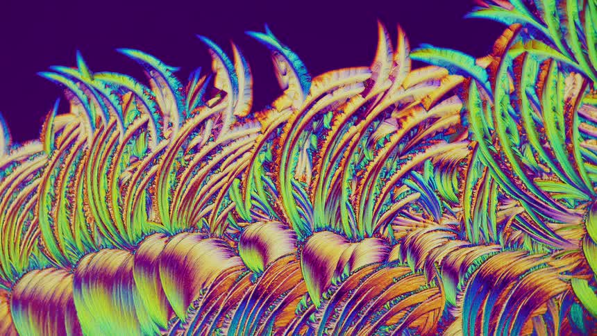 Expanding crystals from salicylic acid in micro view