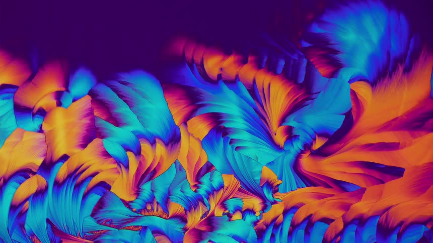 Detailed microscopic natural abstract plant shapes on dark background