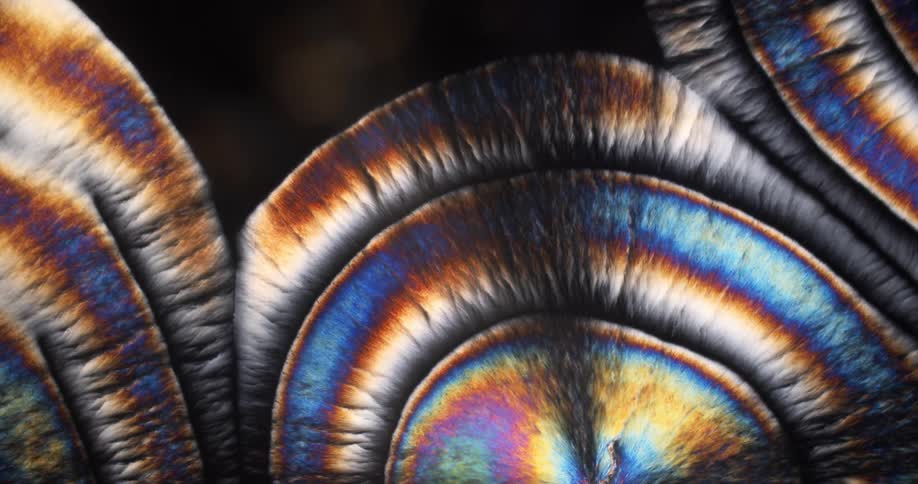 Growing crystals of menthol under the microscope