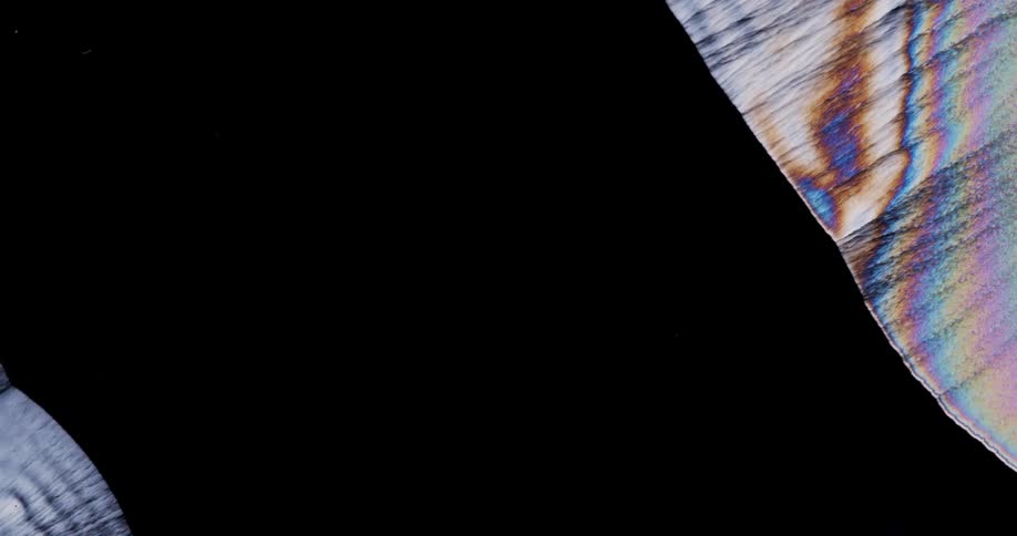 Microscope view of growing liquid crystals on black background