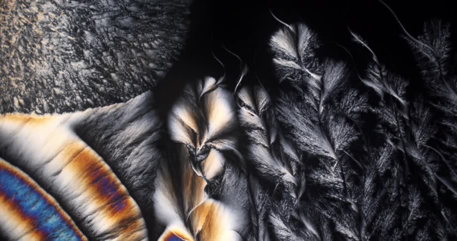 Microcrystals of menthol liquid under the microscope