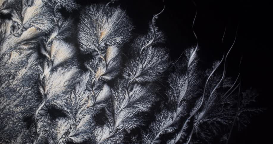 Microcrystals of menthol liquid under the microscope