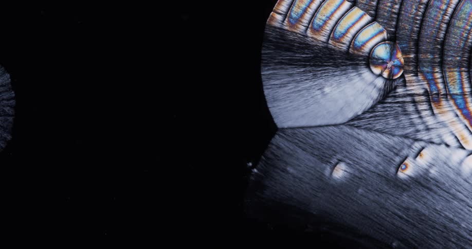 Microscope view of growing liquid crystals on black background