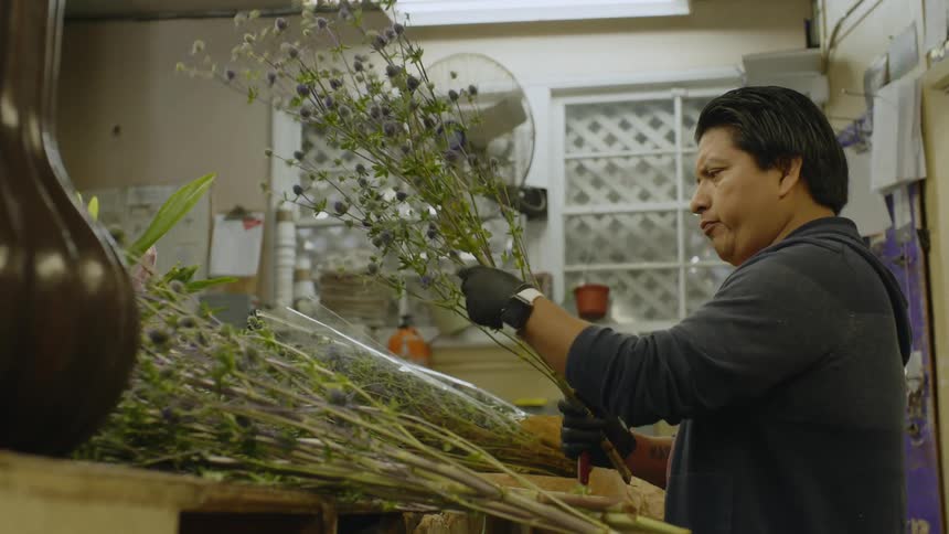 Man removes dead parts of branchlet of flowers in florist shop