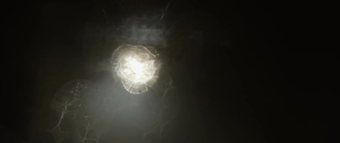 A bright white light appearing in a dark environment