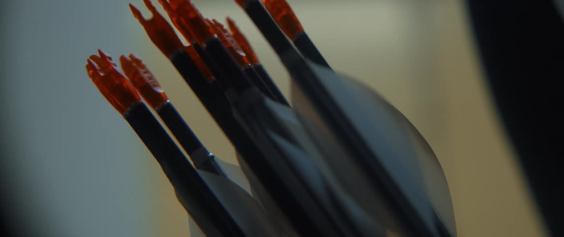 Close up of the feathers on arrows inside a quiver